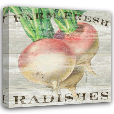 Rosalind Wheeler Schlabach, Sue Gallery Wrapped Canvas Art Titled: Farm Fresh Radishes 20839