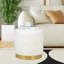 Tabouret de pieds rond en velours capitonné-1016770587