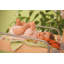 Dschungelbaby Changing Table-9271126