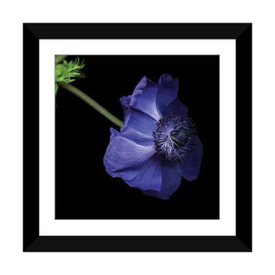 Moody, reproduction de photo sur toile tendue