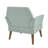 Newtin Mid-Century Modern Accent Chair-126140647
