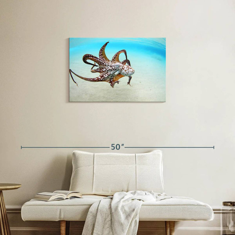 Brampt Wild Ocean Octopus, 20" H x 30" W