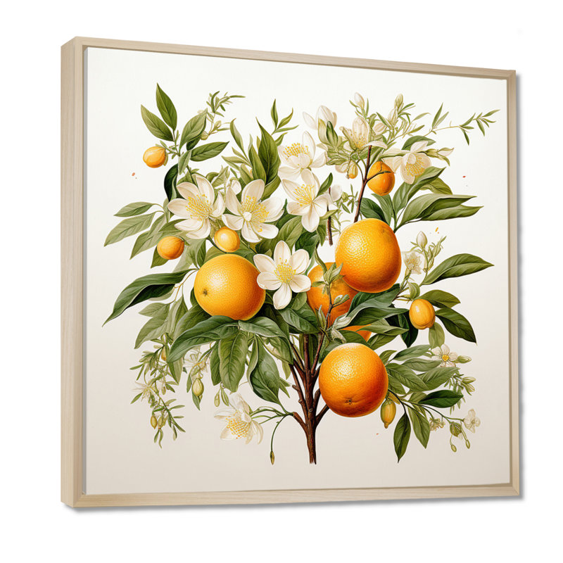 Fruit Canvas Wall Art, Tree Botanical Print -  Tree, 36" H x 36" W, Maple Floater Framed