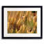Pennsylvania Flowers Print by Drew Gaffney-761182162
