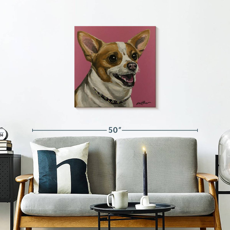 Crowle Chihuahua Bella