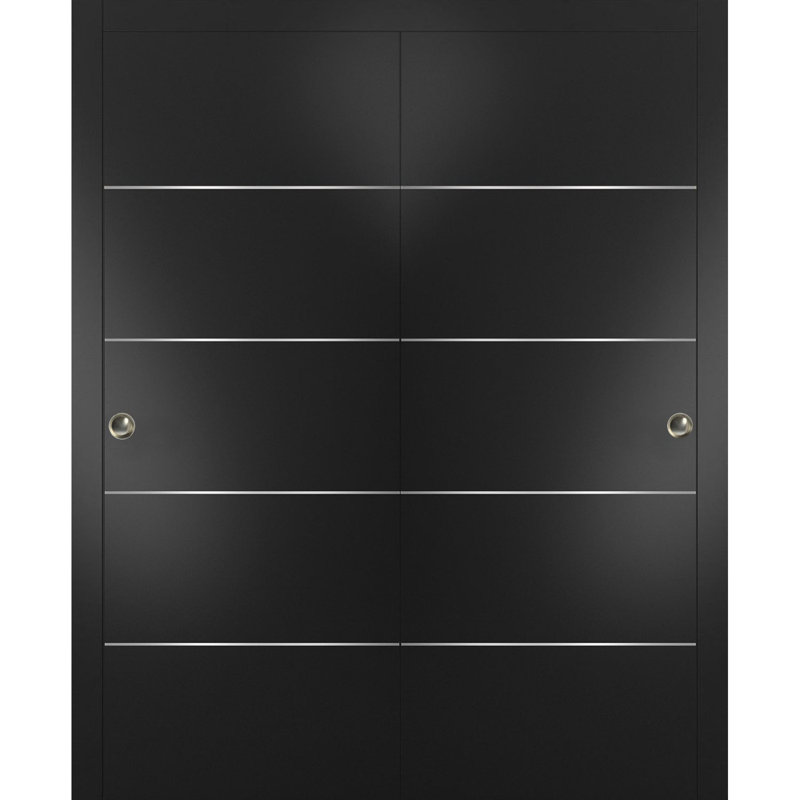 Portes coulissantes Planum Flush, 60 po x 80 po