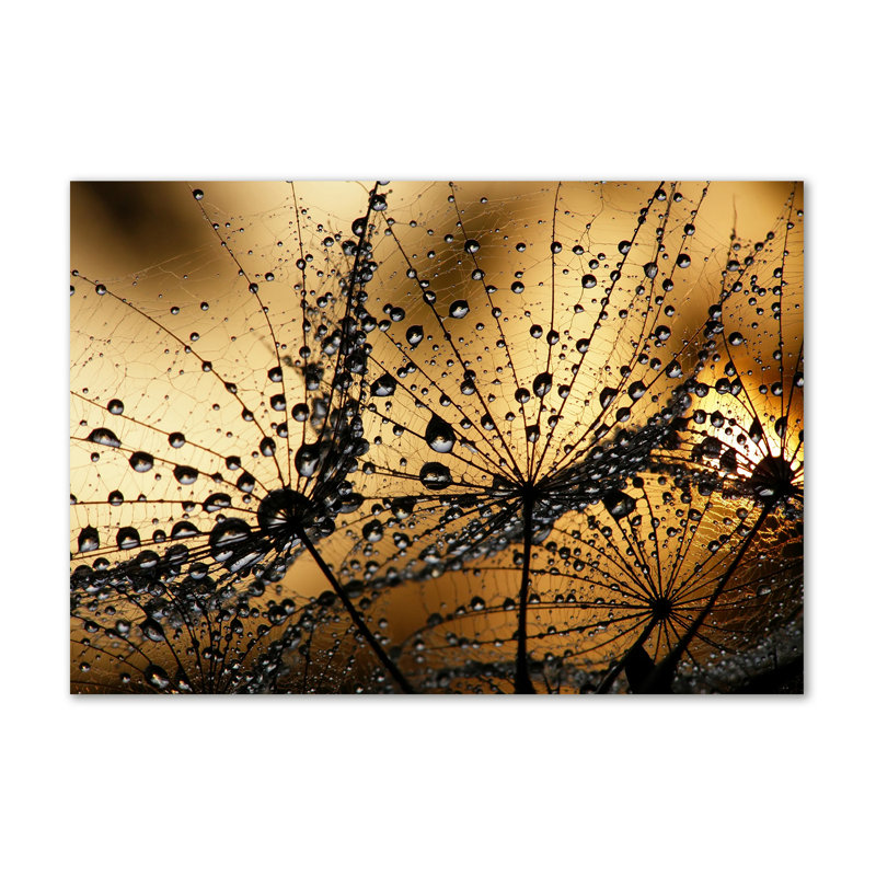 Dandelion Seeds - Wrapped Canvas Print