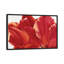 «Fancy Flower I», impression sur toile-29483129-73578252-73578253