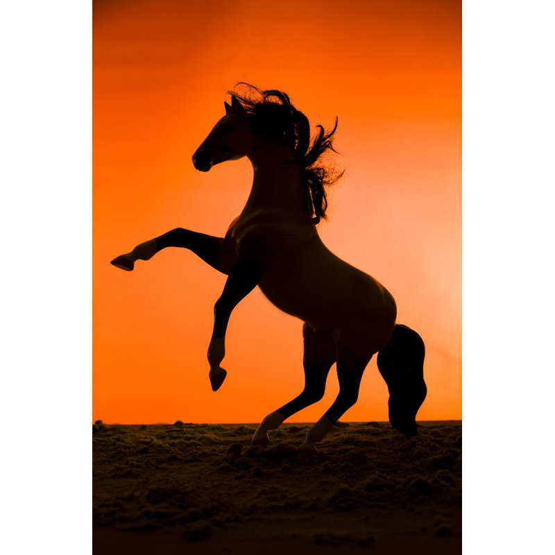 Stallion Horse Rearing Back by Fstop123 - Wrapped Canvas Print, 30cm H x 20cm W x 3.8cm D