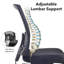 Mesh Task Chair