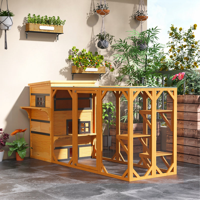 Abri pour chat 3 étages, maison pour chat, maisonnette d'extérieur avec plancher surélevé, toit en asphalte, portes de secours, plateformes de saut, jaune