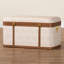 Coffre de rangement Minhtri Baxton Studio Brenner