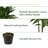 Larson 48 " H Faux Dracaena Tree in Plastic Planter
