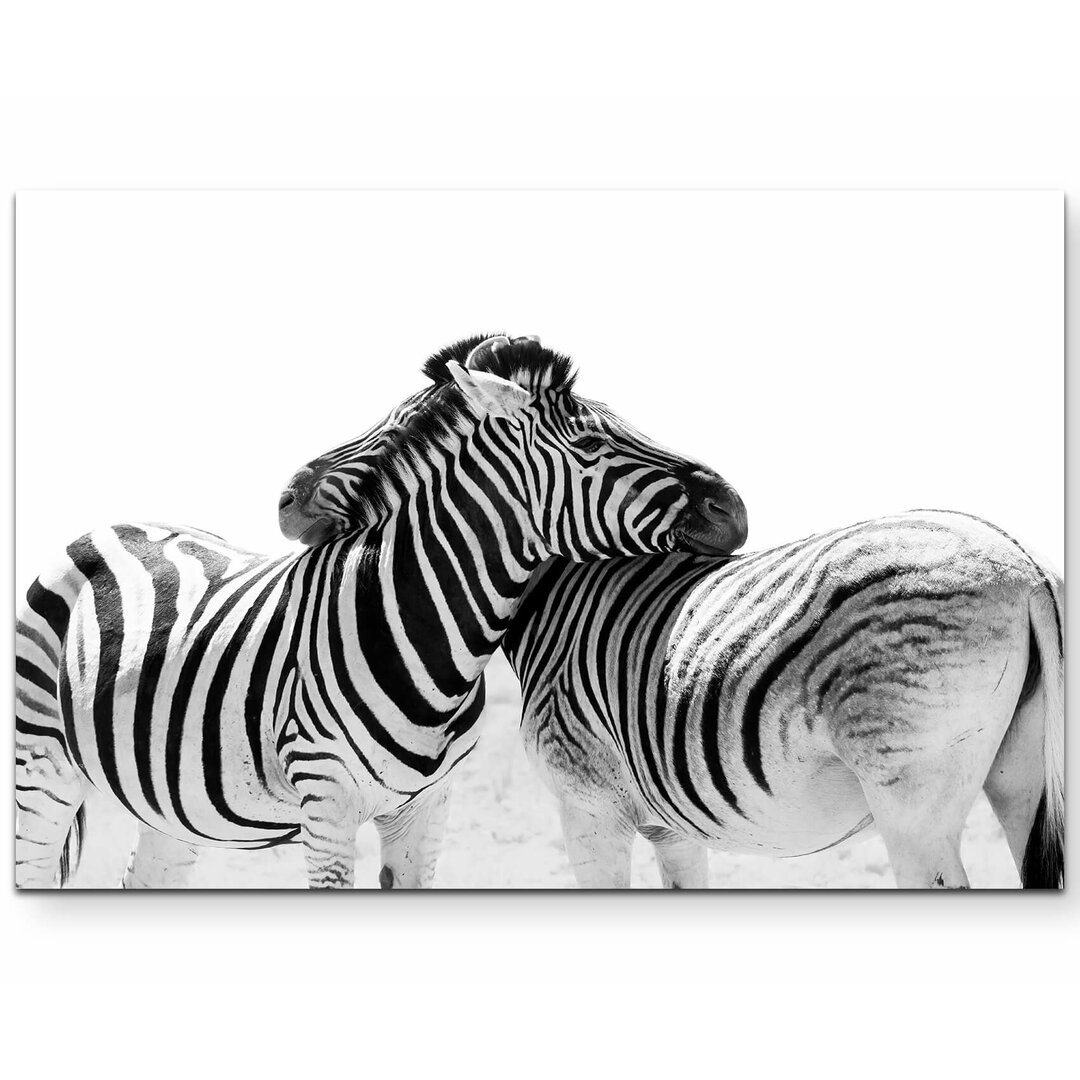 Leinwandbild Kuschelnde Zebras – Namibia