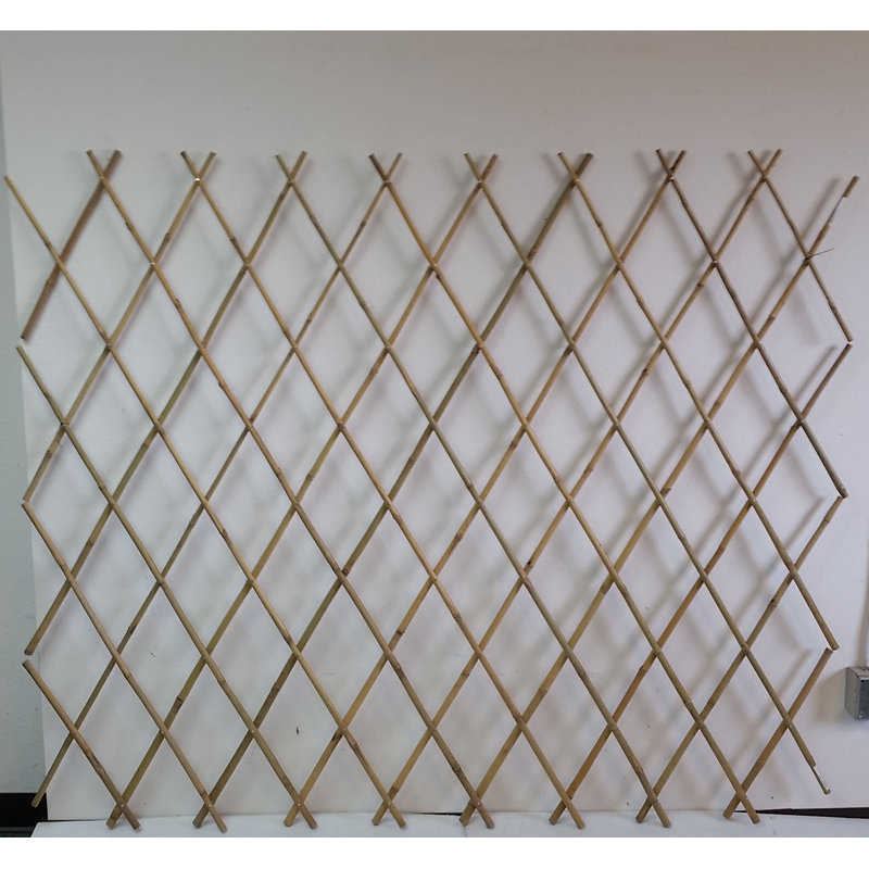 72'' W Wood Expanding Trellis, 60" H x 72" W x 1" D