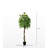 Hand-Made Primrue All Seasons 6'' Artificial Mango Tree