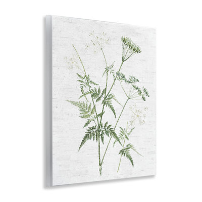 Soft Blooming Bud Wall Plaque Art by Lettered and Lined