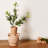 Terracotta Vase Dia 8.25" X 15"H-126537801