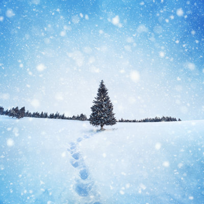 Winter tree