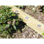 Marleton Low Voltage Integrated LED Deck Light