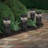 Charcoal Solar Powered Integrated LED Pillar Light