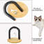 Brosses pour auto-toilettage pour chats à frotter avec un chaton mignon