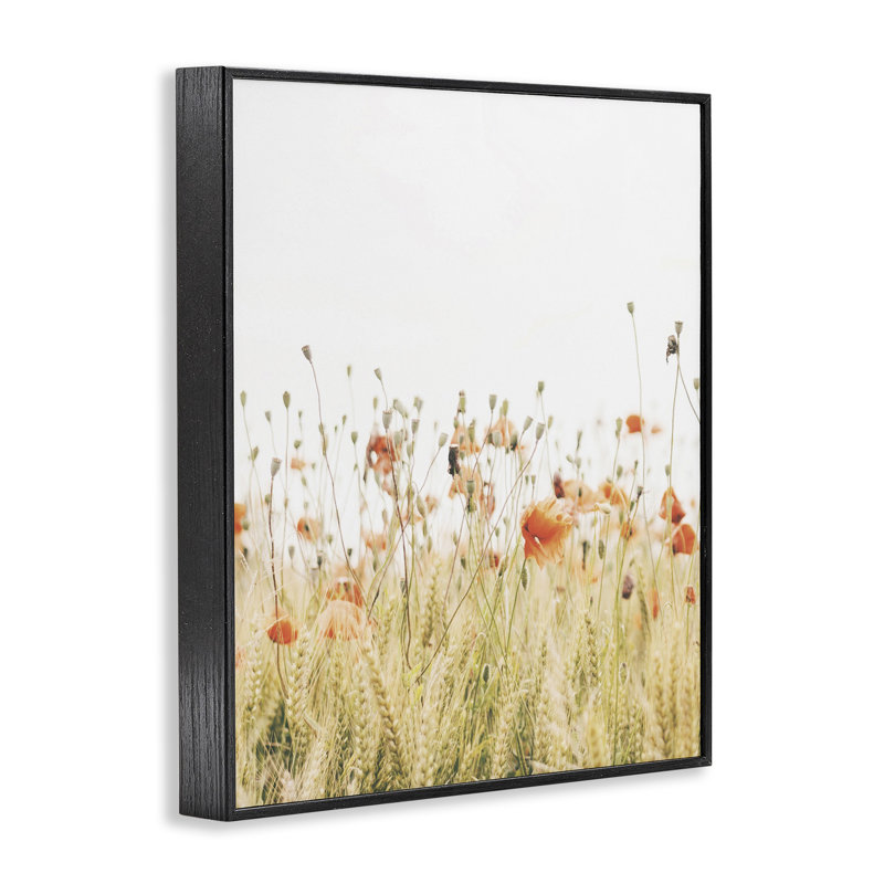 Az-316, impression de coquelicots encadrée, Giclée encadrée noir minuit, H 20 po x l 16 po x P 1,5 po
