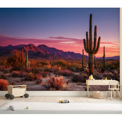 Papier peint adhésif autocollant amovible, paysage désertique, coucher de soleil, Arizona, 69 po x l 96 po