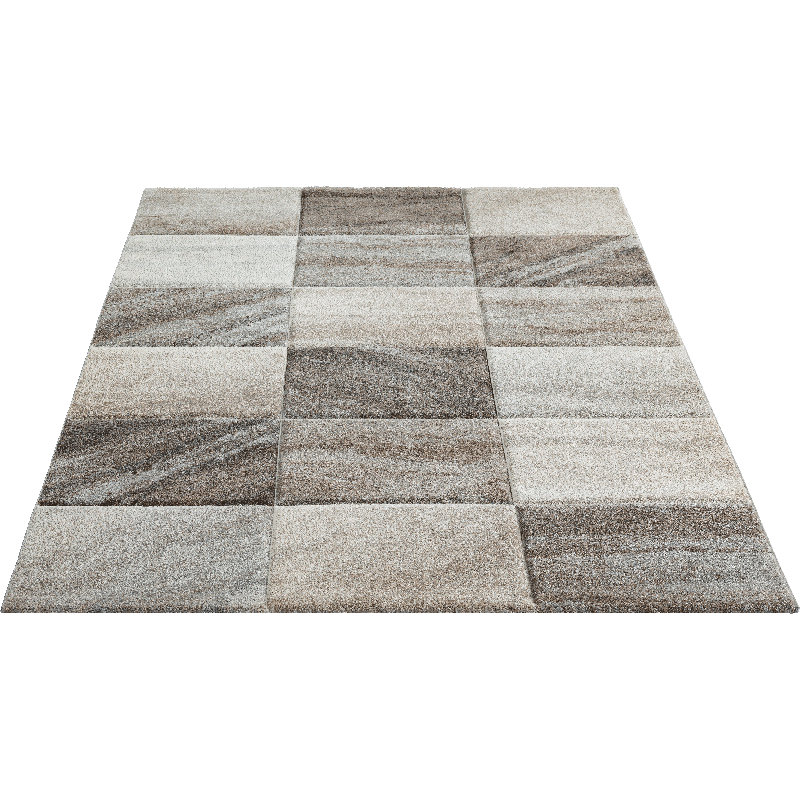 Haughay Beige/Grey Rug