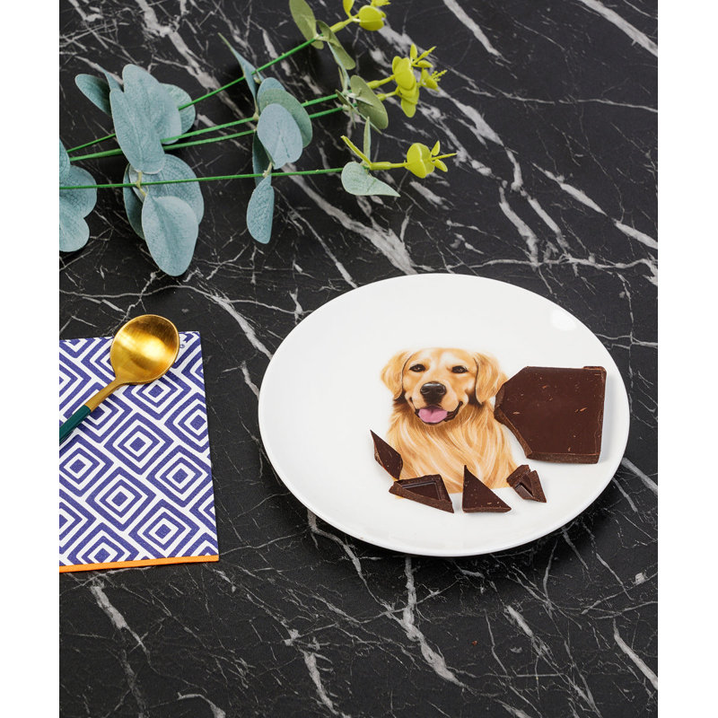 Porcelaine milieu impression 6 assiettes - Golden Retriever