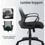 Aubert Mesh Office Chair with Headrest