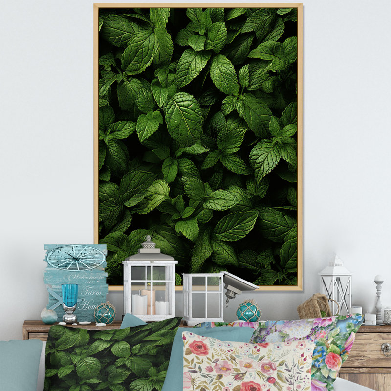 «Herbs Peppermint Breeze 2», art floral herbes murales, Cadre photo argenté, H 32 po x l 16 po