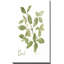 Herbe et basilic - Peinture-715697507-727210638