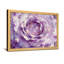 Plantes et fleurs, aquarelle de rose mauve-662326668-662326665-662326664