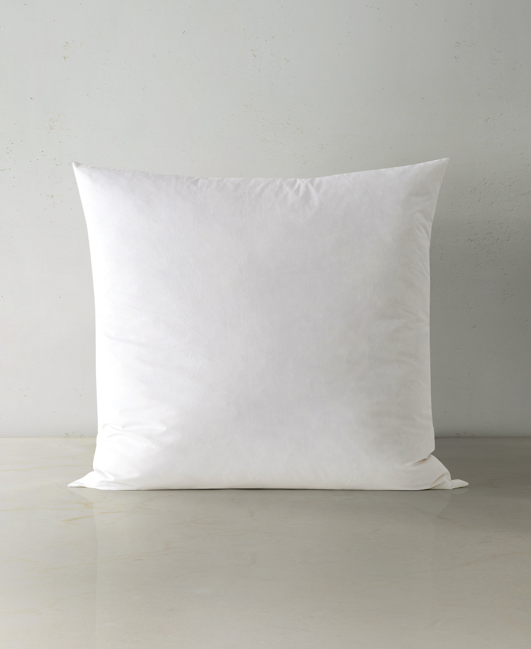 https://assets.wfcdn.com/im/95401783/compr-r85/2597/259722019/eliannie-solid-pillow-insert.jpg