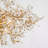 8- Light Modern Crystal Chandelier