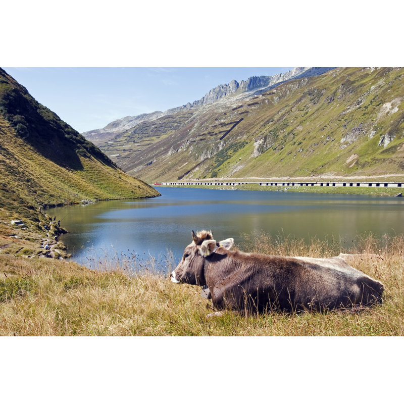 Happy Cow by LucynaKoch - No Frame Art Prints on Canvas, 81cm H x 122cm W