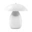 Lamp-221497495-221497494-221497491