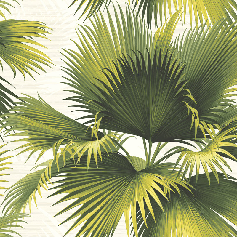 Rouleau de papier peint tropical gris anthracite L 27 pi x l 27 po Suzi Kohen, Vert
