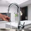 Belfry Kitchen Waldron Pull Out Kitchen Faucet