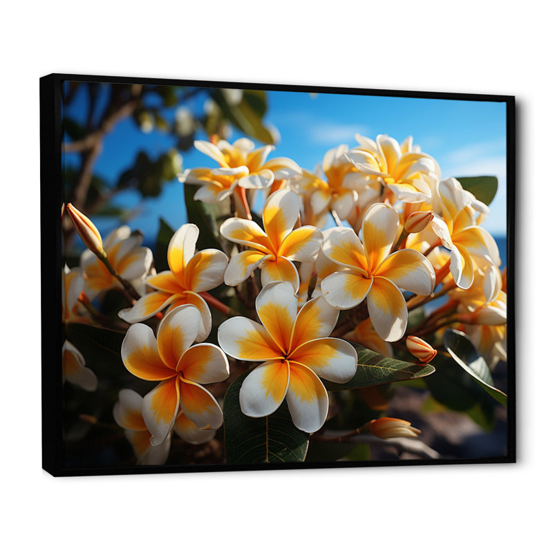 «White and Yellow Plumeria Tropical Splendor» sur impression sur toile, H 12 po x l 20 po x P 1 po, Cadre flottant noir