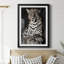 " African Leopard "-565968687-565968684