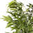 Artificial Bamboo Tree In Nursery Pot-1752342310
