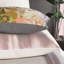 Aster Sham-36820122