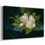 Magnolias on Blue Velvet Cloth-Martin Johnson Heade-Gallery Wrapped Canvas-c. 1890-376595760