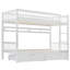 Daghmar Solid Wood Bunk Bed with Drawer & Shelf
