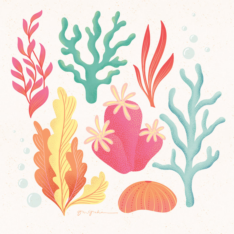 Under The Sea VII by Gia Graham - Wrapped Canvas Print, 76cm H x 76cm W x 3.8cm D