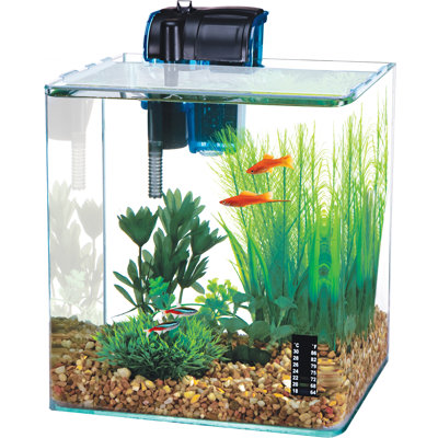 Jacklyn Vertex Desktop Aquarium Kit - Perfect for Shrimp & Small Fish - Tank