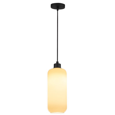 1 - Light Black Single Pendant