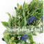 Couronne de verdure printanière - vert - feuilles d'eucalyptus, d'olive et de buis, décoration intérieure et extérieure toutes saisons